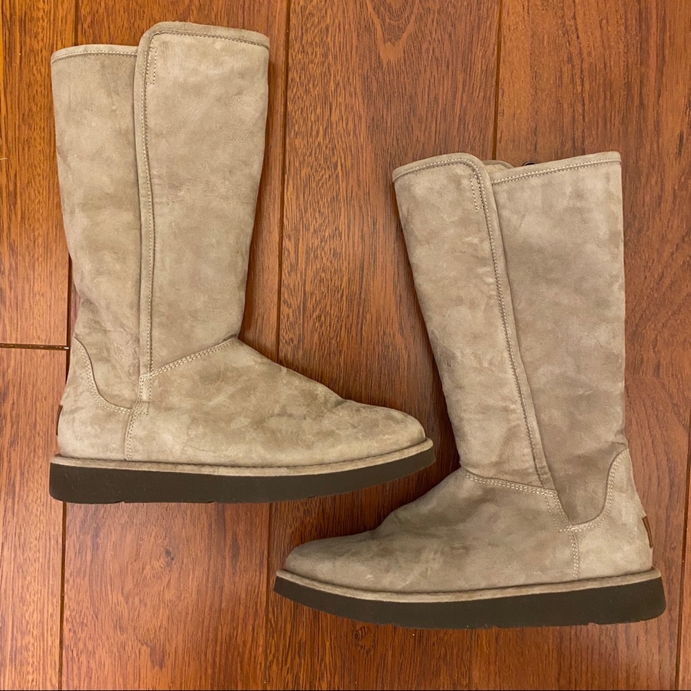 Ugg Abree II Tall Boots